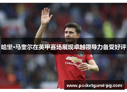 哈里·马奎尔在英甲赛场展现卓越领导力备受好评 哈里·马奎尔在英甲赛场展现卓越领导力备受好评