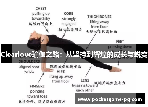 Clearlove瑜伽之路：从坚持到辉煌的成长与蜕变