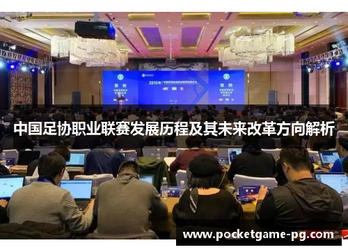 中国足协职业联赛发展历程及其未来改革方向解析