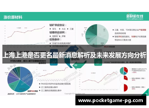 上海上港是否更名最新消息解析及未来发展方向分析